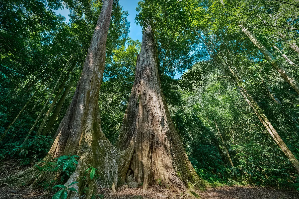 What is attractive about Cuc Phuong National Park tourist area?