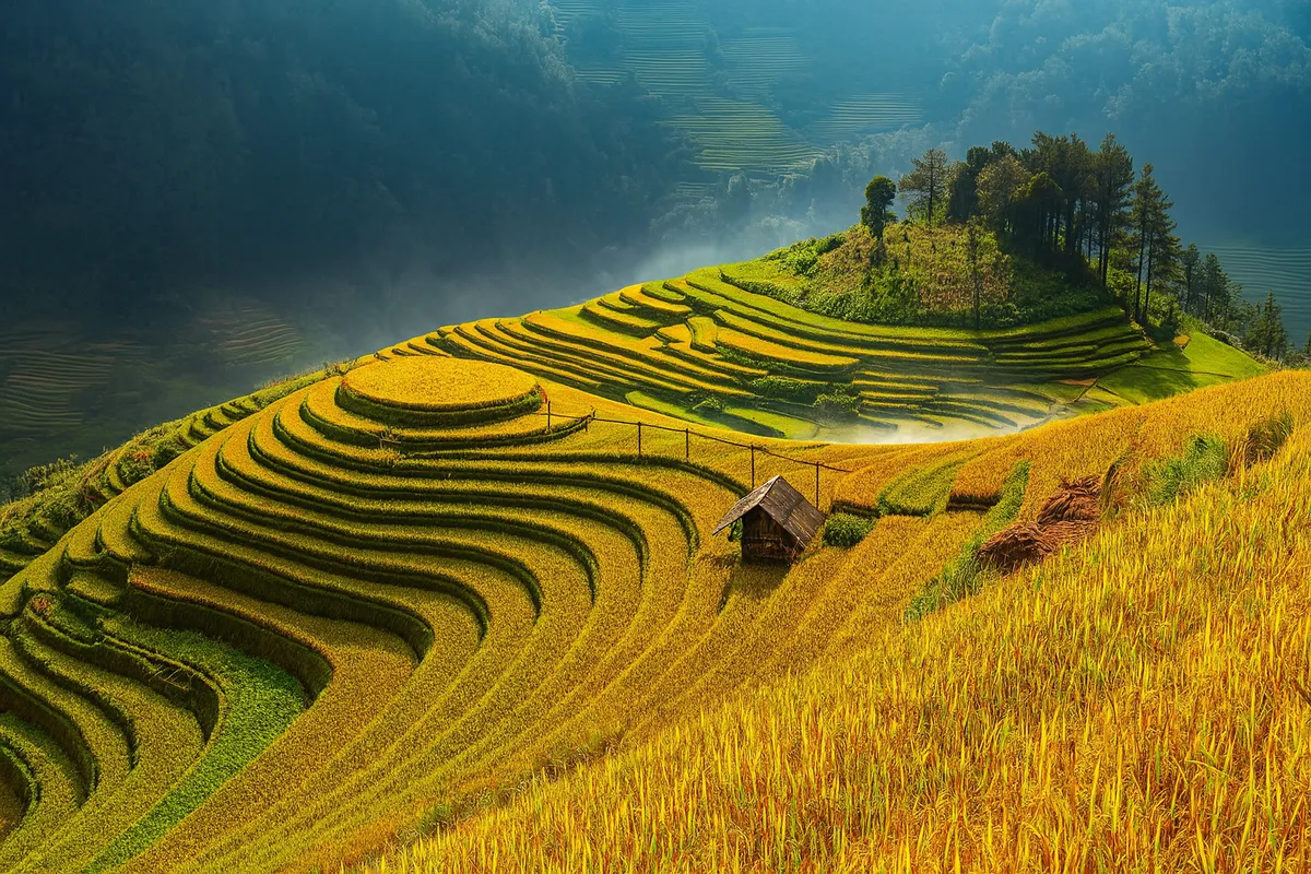Mu Cang Chai travel experience and unexpected tips